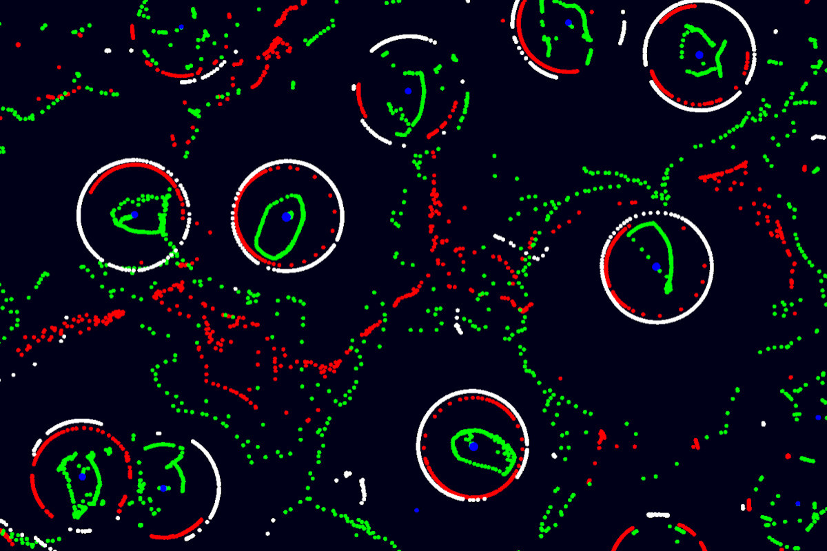 WebGPU AI Life